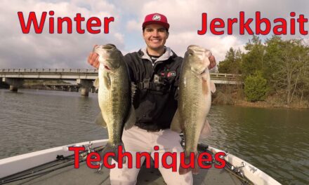 How to Fish Suspending Jerkbaits for Winter Bass – Lake Dardanelle