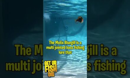 Is the Molix Bluegill Bass FIshing Glide Bait worth it? #shorts