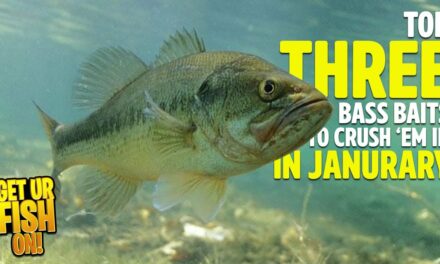 January Bass Fishing: Choosing the Ultimate Bait for GIANTS
