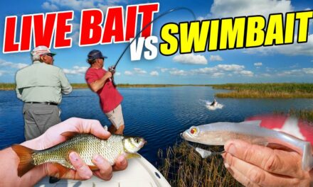 Scott Martin Pro Tips – LIVE BAIT vs SWIMBAIT – BIG BASS Challenge with Pops! (Roland Martin)