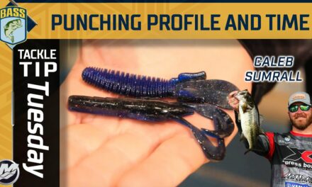 Bassmaster – Punching profiles and flip time in Winter situations