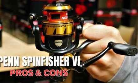 Salt Strong | – Should You Buy a Penn Spinfisher VI? [Pros & Cons Review]