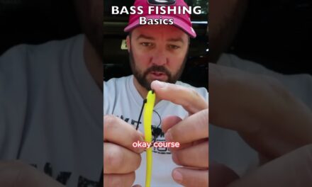 FlukeMaster – Some tips for hooking a worm