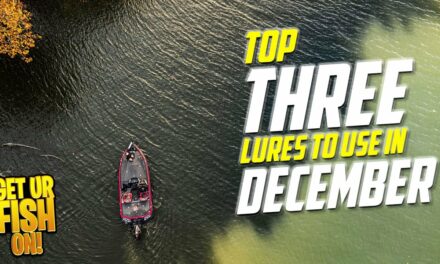 Succeed In Bass Fishing During December with these THREE Fishing Lures