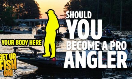 The TRUTH Behind Becoming A Professional Bass Fishing Angler