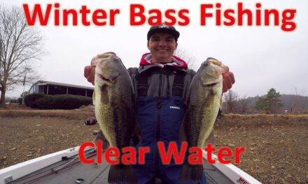 Winter Bass Fishing Techniques for Clear Water