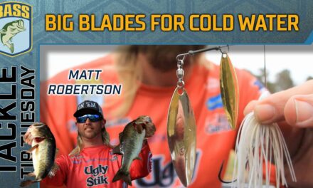 Bassmaster – Big spinnerbait blades for cold water situations