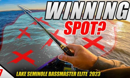 Scott Martin Pro Tips – Did We FIND the $100,000 Spot on Lake Seminole – Bassmaster Elite (PRACTICE) – UFB S3 E07