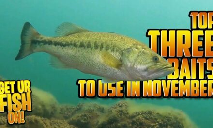 Don't Go Bass Fishing WITHOUT These 3 Lures in November