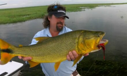 The Obsession of Carter Andrews – Dorado Fishing in Argentina’s Wetlands Preview