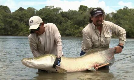 The Obsession of Carter Andrews – Fishing Arapaima in Guyana Preview
