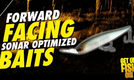 Game-Changing Lures for Forward-Facing Sonar!