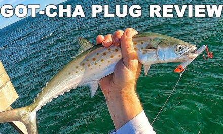 Salt Strong | – Got-Cha Fishing Lure Review: Is This The Best Plug For Pier Fishing?