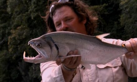 The Obsession of Carter Andrews – Guyana Jungle Fishing Preview