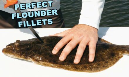 Salt Strong | – How To Fillet Flounder (Without Losing Any Meat)