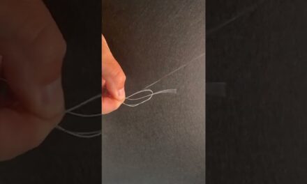 Salt Strong | – How To Tie A Six Turn Surgeon Knot [Connect Braid To Leader]