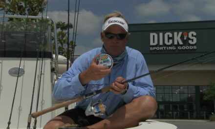 How to Catch Tarpon with Lures DOA BFL and Baitbuster