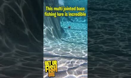 Is the Duo Realis Rozante bass fishing swim bait worth the money? #shorts
