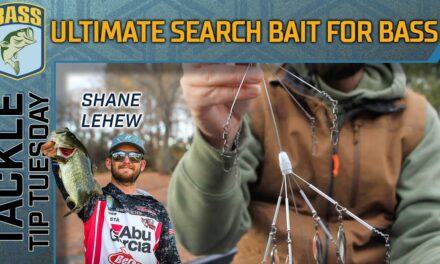 Bassmaster – LeHew's ULTIMATE search bait for Winter bass