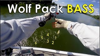 Shallow Water Techniques for Clear Lakes in the Summer – Beaver Lake Summer Bass Fishing