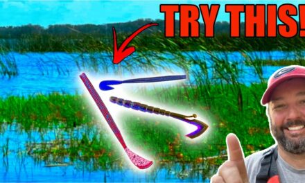FlukeMaster – The BEST Lure and Technique to Fish Grass Lakes… (how to fish a speed worm)