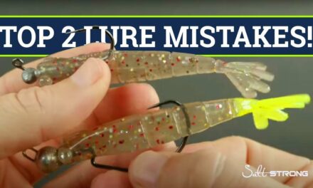 Salt Strong | – Top 2 Lure Rigging Mistakes & How To Avoid Them