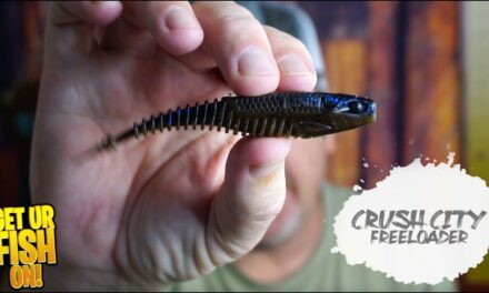 Unveiling the Game-Changing Rapala Crush City Freeloader Bass Fishing