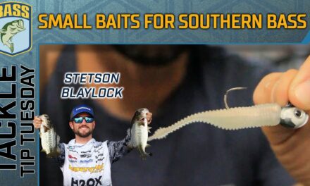 Bassmaster – Utilizing 2D and small baits for southern bass in winter