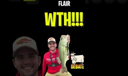 Who’s the greatest Googan Squad member? Flair vs Lunkers #shorts
