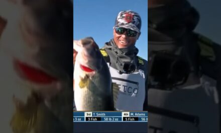 Bassmaster – @ScottMartinChallenge stays in the lead with this big bass