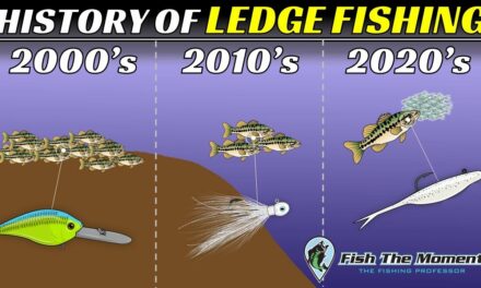 Bass Behavior is Constantly Changing: The Evolution of Offshore Bass Fishing | FTM Livestream #147