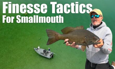 Finesse Tactics For Smallmouth