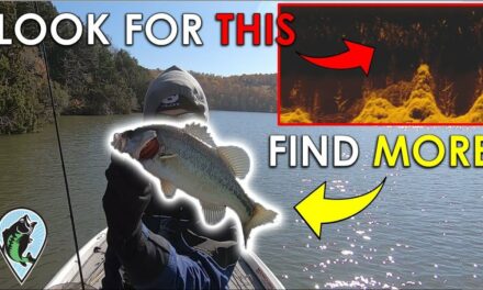 Fish Finder Trick to Find Bass Fast in the Winter | 3 Hour Challenge