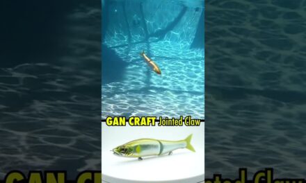 Gan Craft Jointed Claw bass fishing glide bait #shorts #fishing