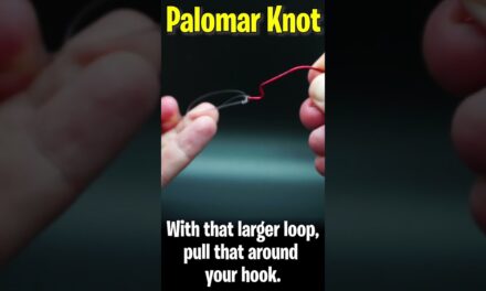 How to tie a Palomar Knot. Bass Fishing Tips and Techniques #shorts