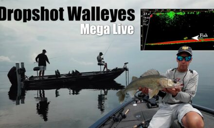 Mega Live Dropshot Walleyes