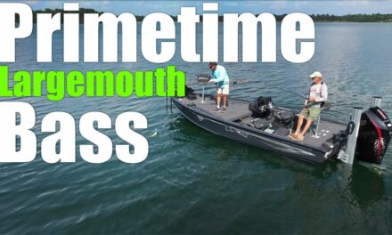 Primetime Summer Largemouth Bass