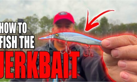 FlukeMaster – The Ultimate Guide To Jerkbait Fishing: Tips and Tricks