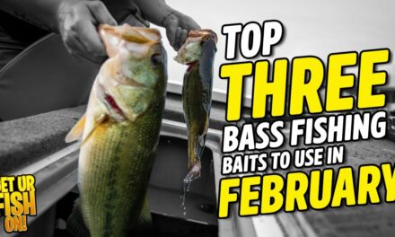 Top Three Bass Fishing Baits to use in February for GIANT BASS