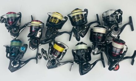 Salt Strong | – What Spinning Reel Size Is Best For Saltwater Fishing?