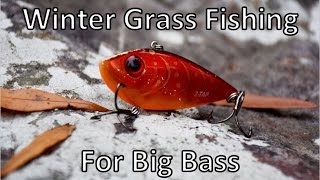 Winter Grass Fishing with Lipless Crankbaits