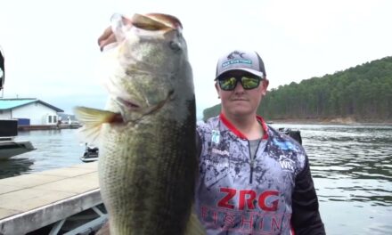 Bassmaster – Zach Goutremout's almost 11 pounder at Lake Ouachita