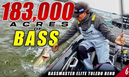 Scott Martin Pro Tips – 183,000 Acres of GIANT BASS – Bassmaster Elite Toledo Bend (Tournament) – UFB S4 E06