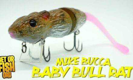 Best TOPWATER Bass Fishing Rat? Bucca Baby Bull Rat