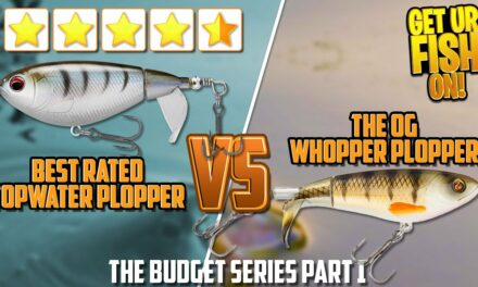 Budget Bass Fishing Lures – Amazons Plopper VS Whooper Plopper EP01