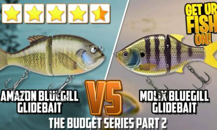 CHEAP vs EXPENSIVE Bluegill Bass Fishing Glide Baits – Budget Baits 2