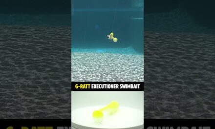 G-Ratt Executioner Bass Fishing Soft Plastic 6 Inch Swimbait #shorts