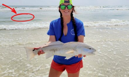 Salt Strong | – How To Catch Big Redfish From The Beach (Structure, Bait, & Rigs)
