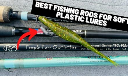Salt Strong | – How To Choose The Best Fishing Rod For Weedless Soft Plastic Lures