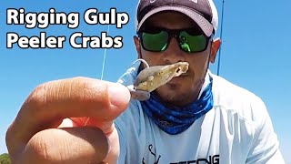 Salt Strong | – How to Rig Gulp Peeler Crabs (For Redfish & Black Drum)